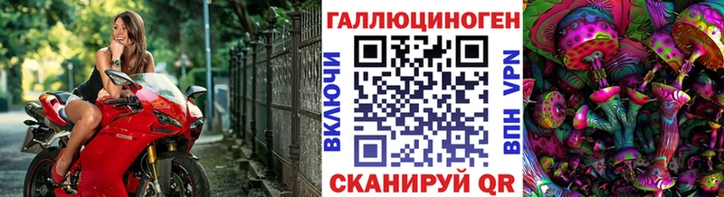 где продают Высоковск Псилоцибиновые грибы мицелий
